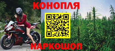 спиды Дубна