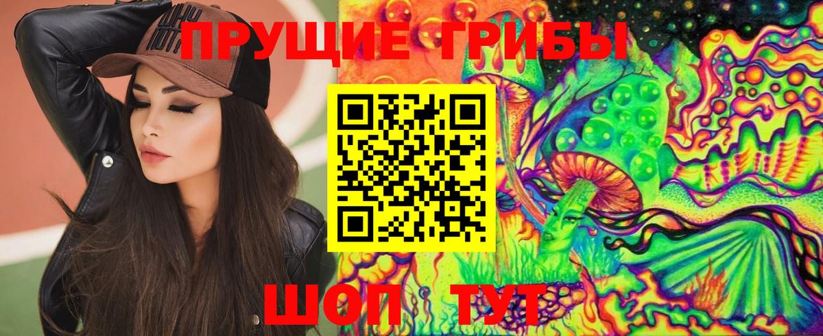 Назрань  Псилоцибиновые грибы MAGIC MUSHROOMS  Вход с VPN 